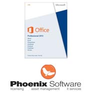 Microsoft Office 2013 Professional